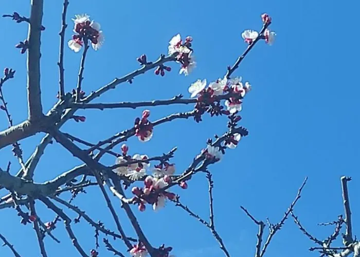 Hotel céntrico: La Casa Di Armando